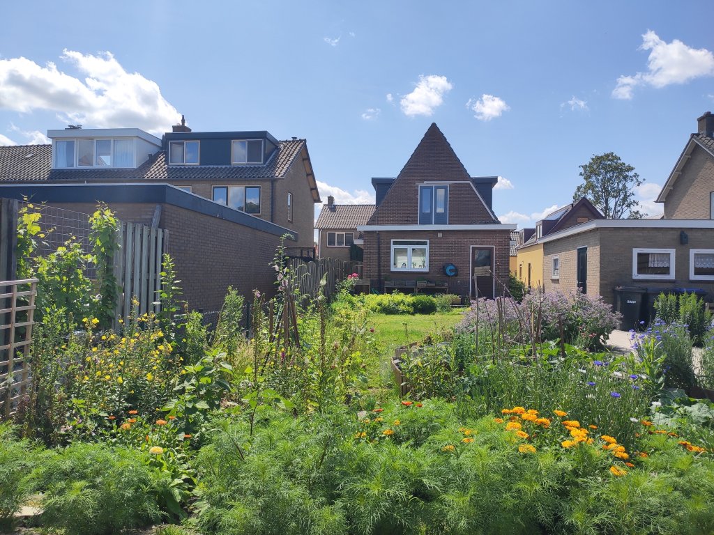Home garden in Odijk with vegetable patch and blooming flowers